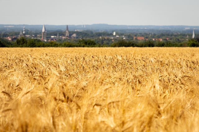 Unsere Stadt,
