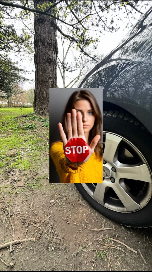 GRÜNE freuen sich über breite Zustimmung: Baumschutz und neue Stellplätze am Stadtpark beschlossen...